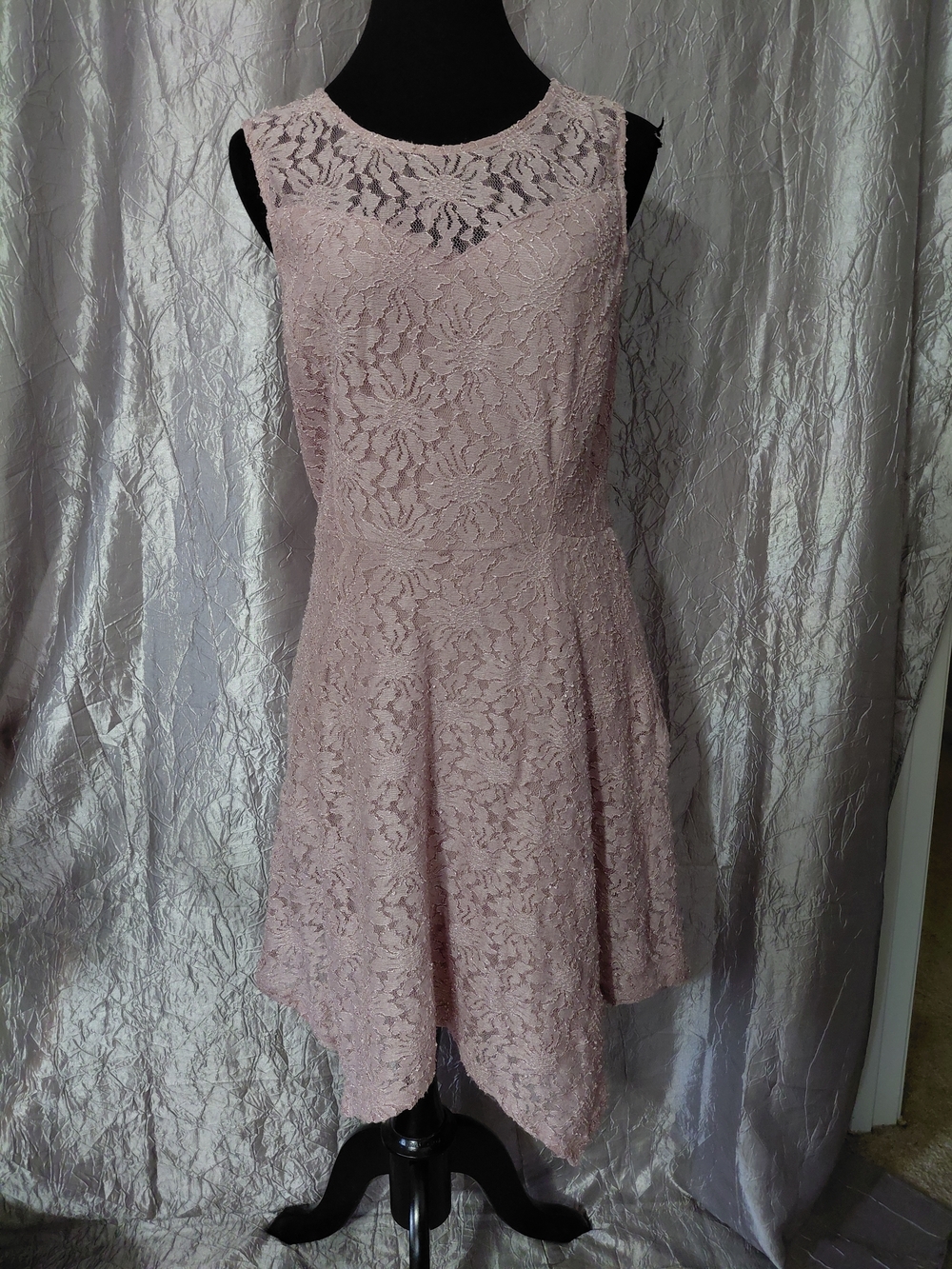 Enfocus Studio Dusty Blush Lace Asymmetrical Hem Dress